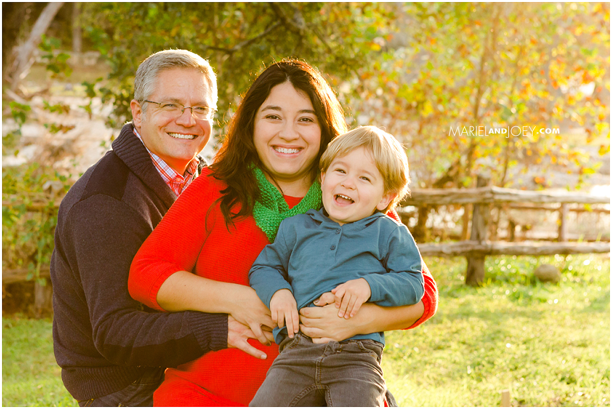 austin-family-christmas-holiday-portraits-360-trees-cover